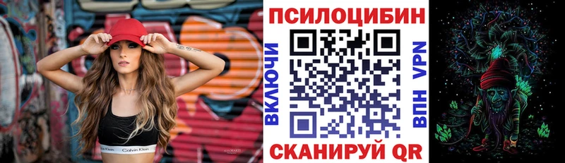 где найти   Нязепетровск  Галлюциногенные грибы GOLDEN TEACHER 